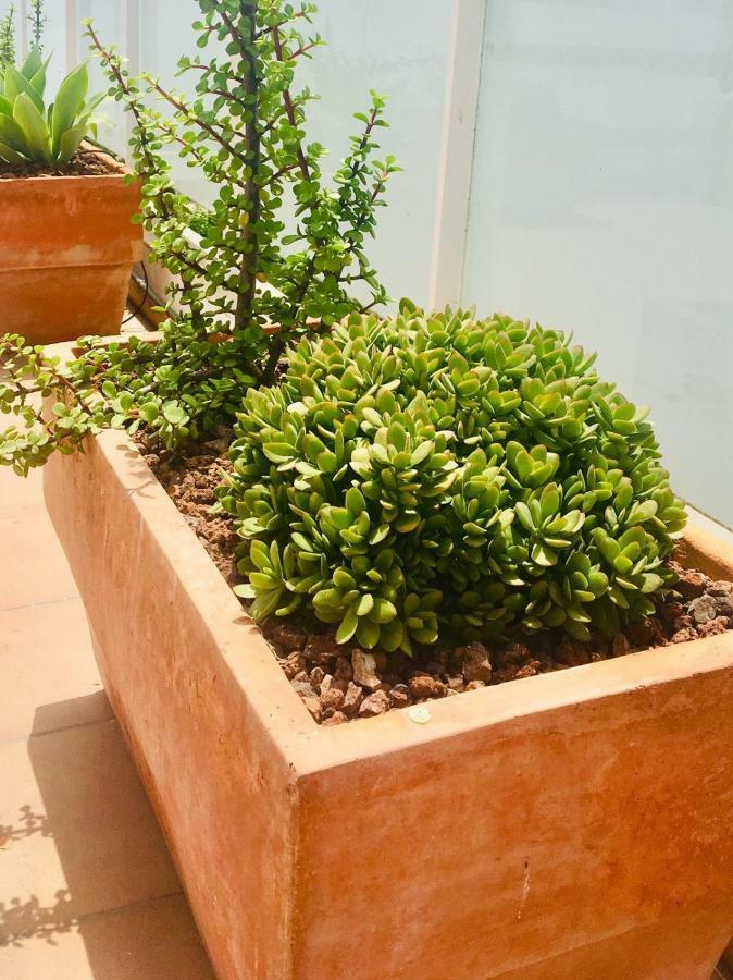 Penthouse La Paz 9 - Castle View Apartment Moraira Exterior foto